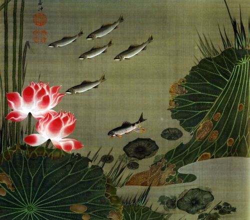 fujiwara57:  Itō Jakuchū 伊藤若冲 (1716-1800), peintre japonais d'animaux et de fleurs.