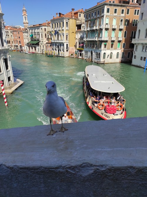 happyzenwonderlandcollection:Venice, Italy
