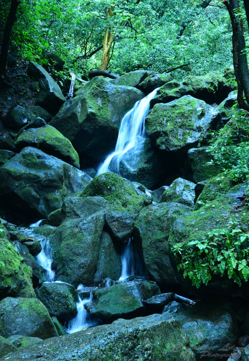 Lulumahu Trail. (Oahu 2014)