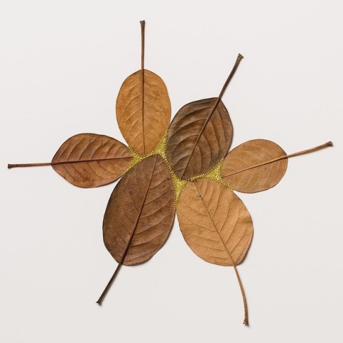 crossconnectmag:Crocheted Leaf Sculptures by Susanna BauerTo truly appreciate the delicacy of Susann