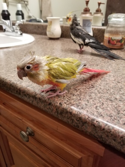 i-dont-feel-i-see - My handsome baby boys after our shower...