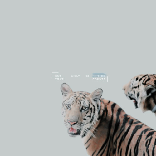 lightwoodtobane:princess jasmine. ‘Sometimes we only see how people are different from us. But