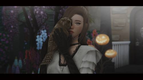 desysimmer: .・゜-: ✧ :-  Day 10: Owl  -: ✧ :-゜・