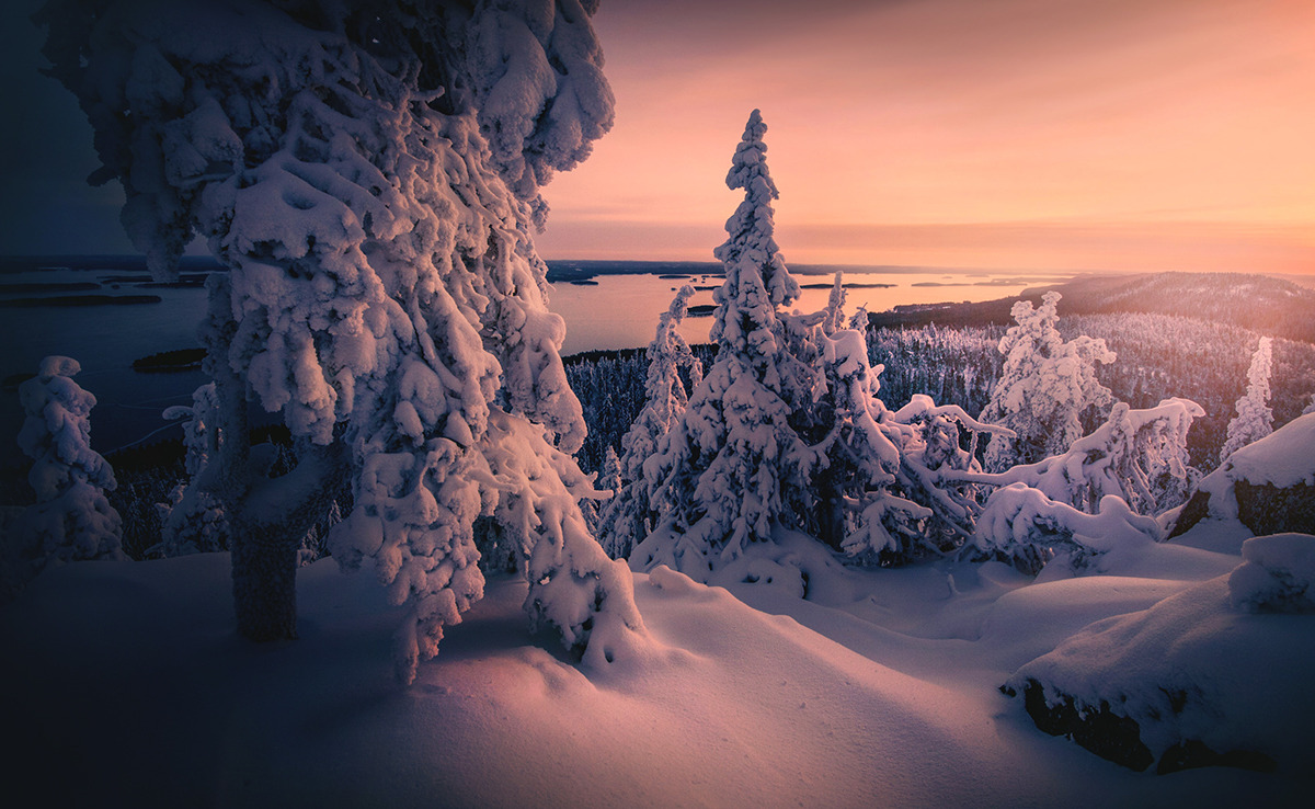 ponderation:  KOLI by Ilari Tuupanen      Instagram | Facebook  
