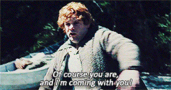 captainoftheblackwind:Lord of the Rings Alphabet:  Loyalty“You can trust us to stick with you throug
