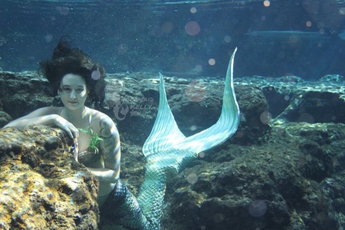 mermaidkelly:Live life like a mermaid ✌️m.youtube.com/user/kelbelchocolate123