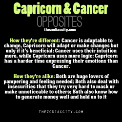 zodiaccity:  Zodiac Opposites, Capricorn