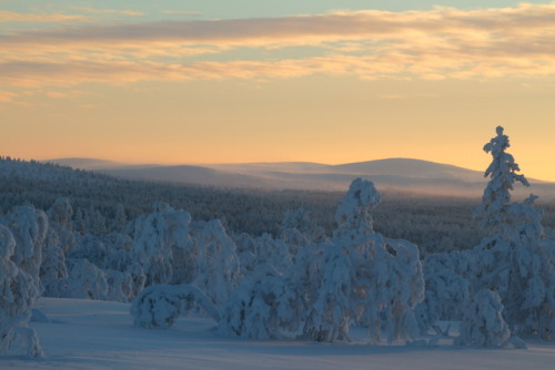 Kaunispää landscape by Mike Crowle