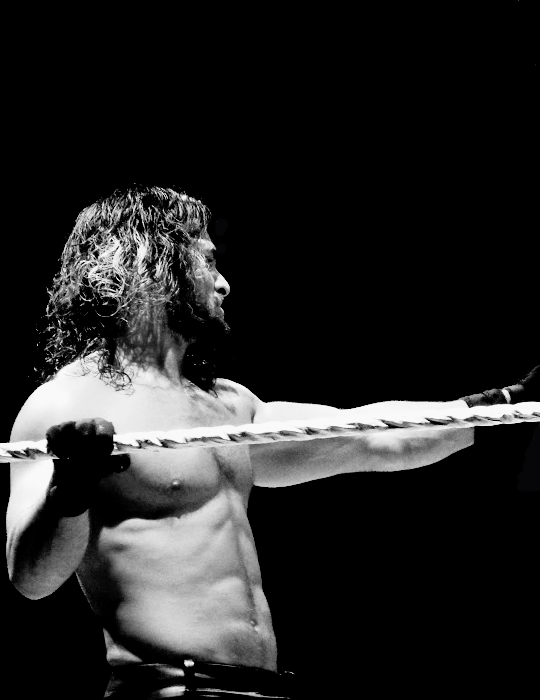 sethrollinsitalia-deactivated20: © 