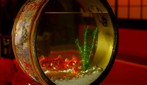 Don’t you know you can’t survive out of your bowl?Goldfish in SAKURAN/ さくらん (2007), Mika Ninagawa