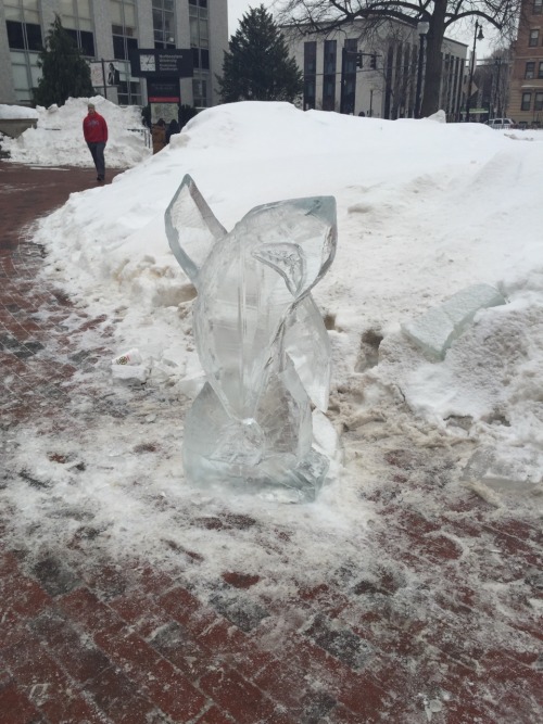 ashleesimpsonofficial:  wiredwhimsicalities:Left Shark ice sculpture.  his impact