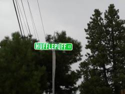 Lizavery:  Starkidnutty:  Lizavery:  Finnleg:  What The Hell Is A Hufflepuff? Only