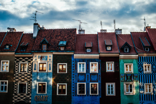 betomad:summer in Poznań - Stary Rynek, Poland. photo by erik witsoe