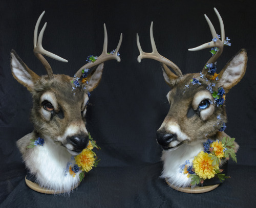  The floral deer 2.0! This time a wearable mask instead of exclusively a wall mount. He’s currently 