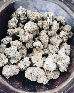 kushupmagazine:  🔥 How high are you? 🌳