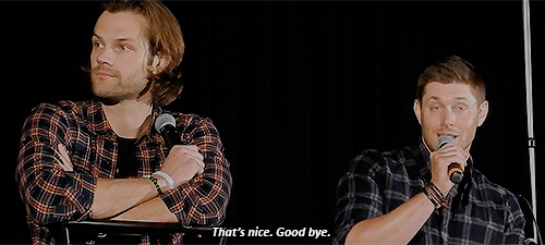 sillybubbies:Jared: “We both feel an intense commitment & loyalty to the Winchester brothers.In 