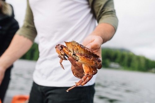 Trading in some chicken for some crab. Shot for Camp. 