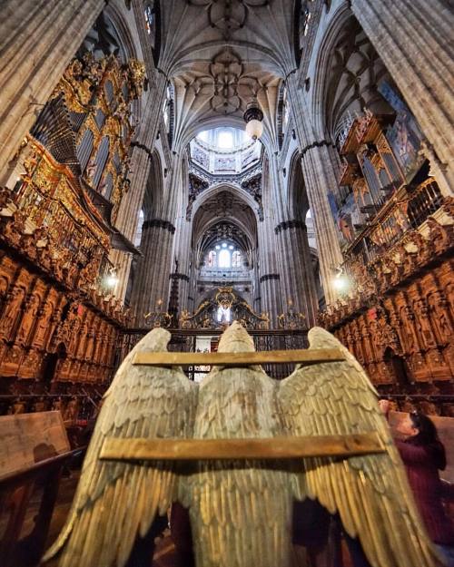 The ‘new’ cathedral, Salamanca, was stunning today. #Salamanca #cathedral #catedralnueva