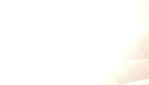 beezeepete:  Good morning. 