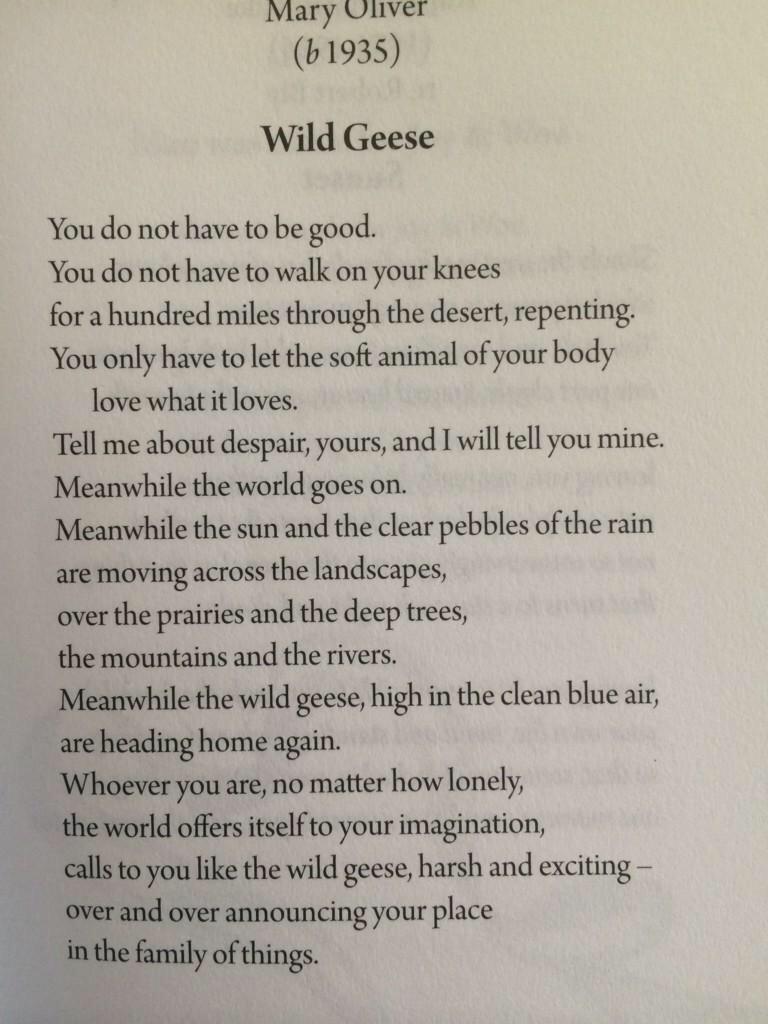 Mary Oliver, “Wild Geese,” from New and Selected Poems, Volume One
Here’s a recording of her reading the poem:
She did a wonderful interview with On Being. I used this quote to open The Steal Like An Artist Journal:
“ I think we’re creative all day...