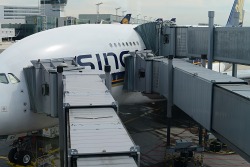 a380flightdeck:  Passenger bridges at an A380 of Singapore Airlines in FRA.  I love pics of A380 boarding.  It is very exciting to see.