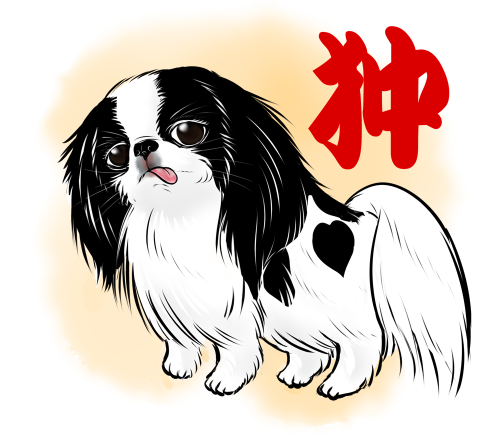  I also draw the Japanese Chin 