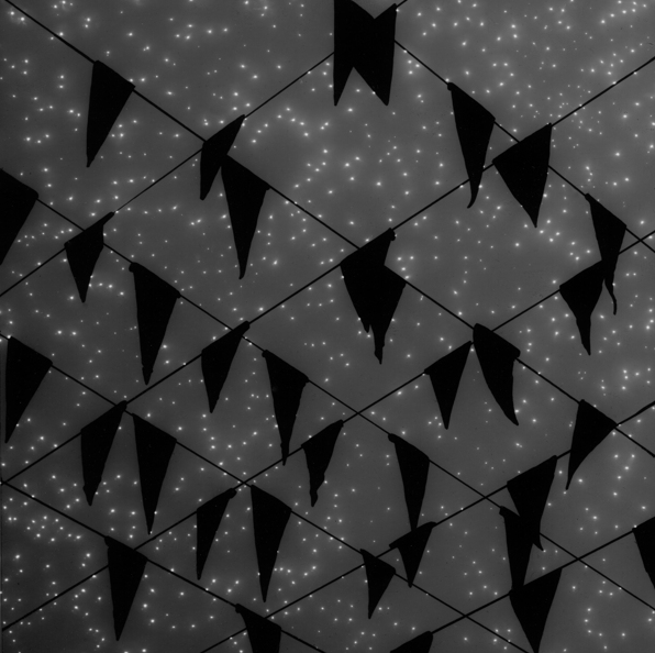 kateoplis:  Vanessa Marsh, Photograms