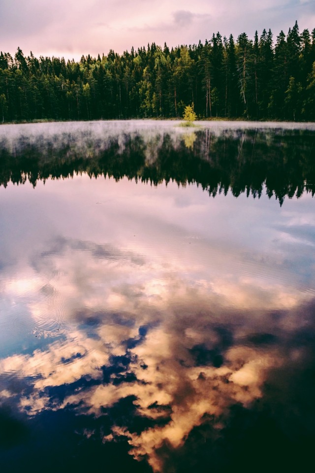 mountain-spirits-deactivated202:rising mist + reflections, Maine, 2022