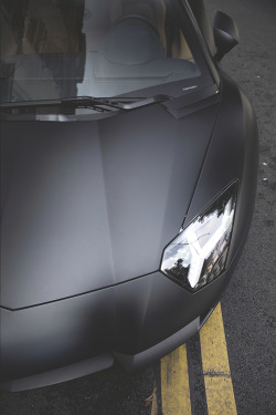 thelavishsociety:  Lamborghini Aventador