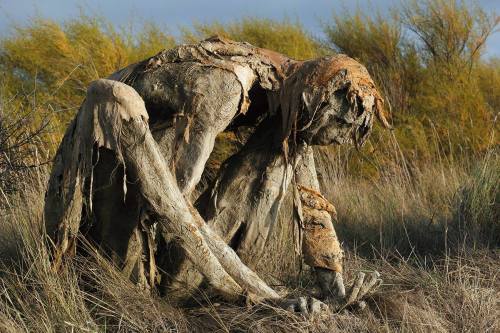 ex0skeletal-undead: Swamp creatures in the Marshes Nature Reserve of Séné in the Gulf of Morbihan in