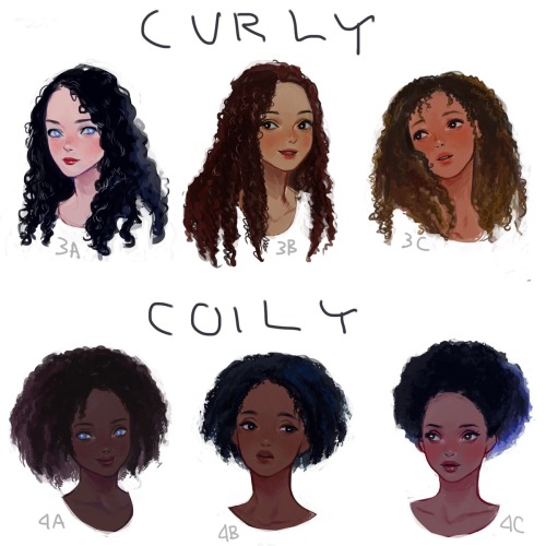 eafuransu:  I drew a visual hair type classification guide. I thought I’d share it here. Mine is between 1b-1c. 