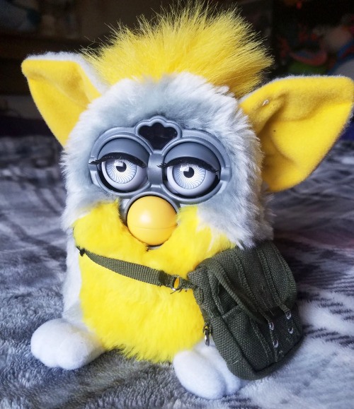 Furby bag what will he carry?…Oh!