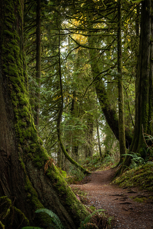 Nature porn pictures