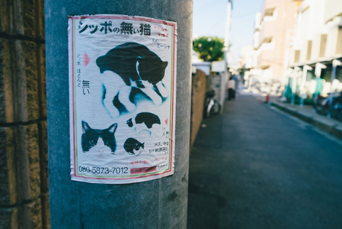 Lost cat sign in Funabashi. I hope this cute kitty was found by its owners. 