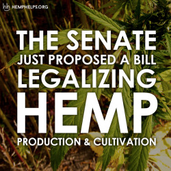 hemp-helps:  Read more hemp legalization