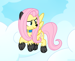 cocoa-bean-loves-fluttershy:  Fluttershy