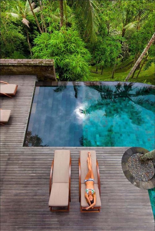 travelintweeter: jungle resort