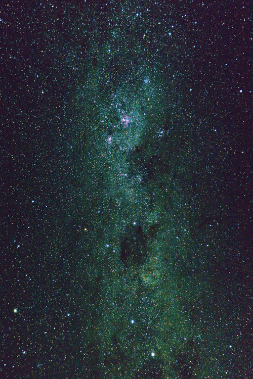 wonderous-world:  Look Up by Dave Young