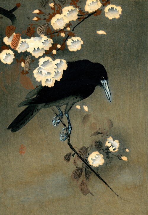 jareckiworld:Ohara Shōson (1877-1945)  —  Crow and Cherry Blossoms  (woodblock, c. 1922)