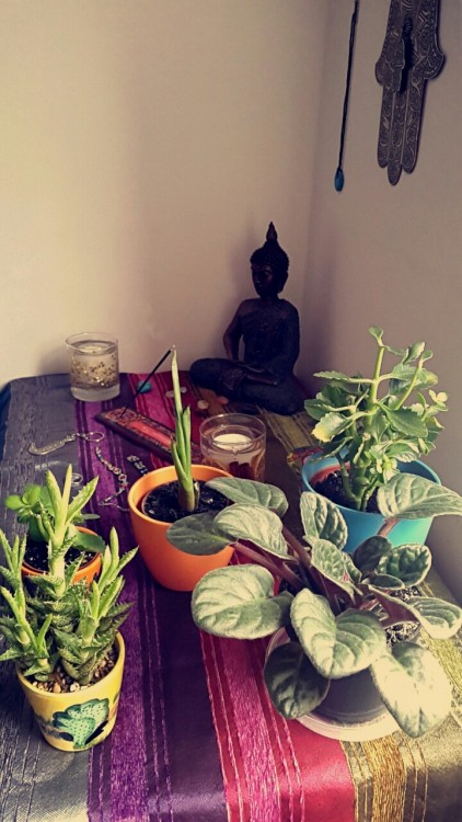 wanderingbreath:  burning some incense to start the day off balanced and content.