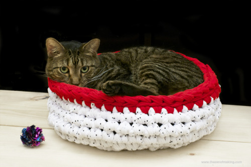 DIY Easy Jersey Knit Fabric Crochet Cat Bed Tutorial from The Zen of Making here. Really basic patte