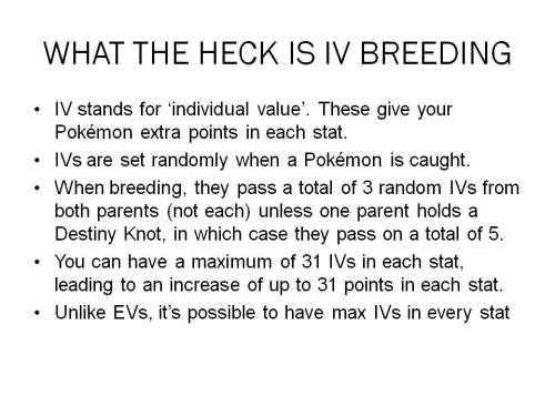 pokemonresource: Another guide in the same vein as my EV training guide, but for IV breeding, every 