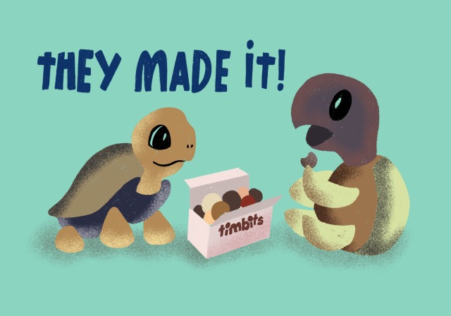 TORTOISES UPDATE!!!!🥳🎉 🎨 by me