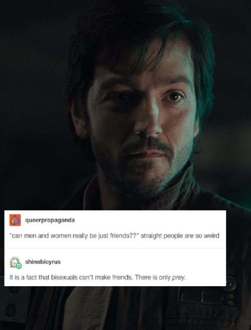 andorandrook: Cassian Andor + bisexuality test posts(more rogue one + text posts (X))