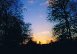 lomopotato:untitled by maria perry on Flickr.~winter~