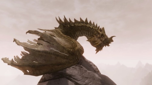 dragonborn-adventures:  Alduin and Paarthurnax 