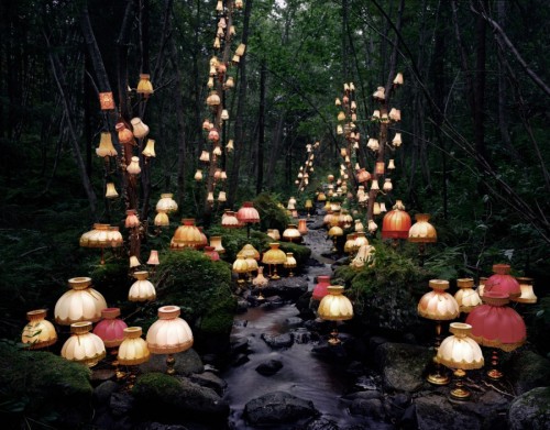 origamicrow: Lamps are returning to their natural habitatNature is healingWe are the monsters