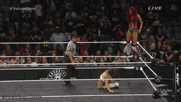 wrestling-giffer: Wrestling Giffer Awards: Joint Match of the Year- Sasha Banks vs Bayley at NXT Tak