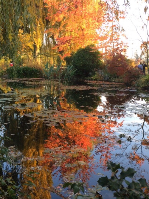 sunflowersatdawn:My uncle &amp; his wife went to Giverny where Claude Monet’s house was an