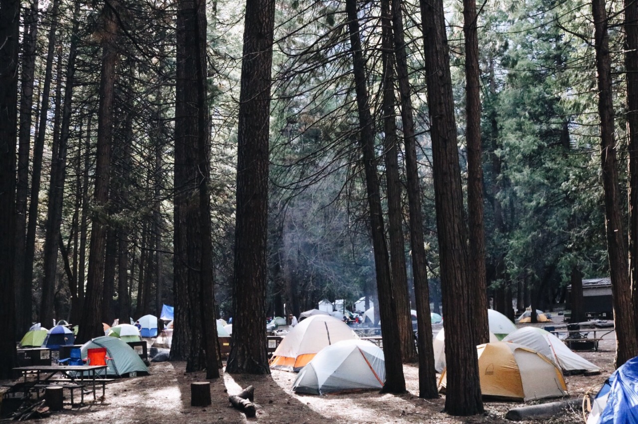 countrygirl2136:  nuhstalgicsoul:  No words can describe how incredible it is to